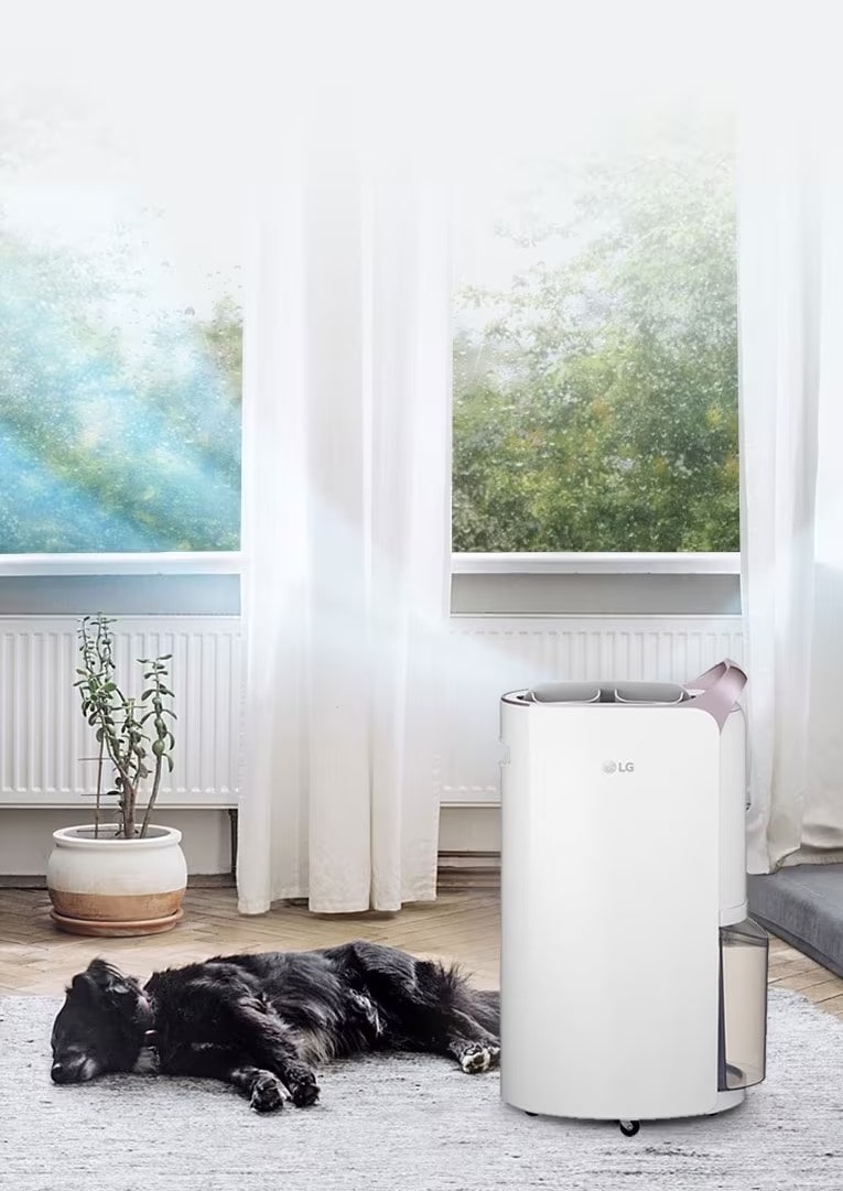 Dehumidifier Whole House Dehumidifier LG UAE